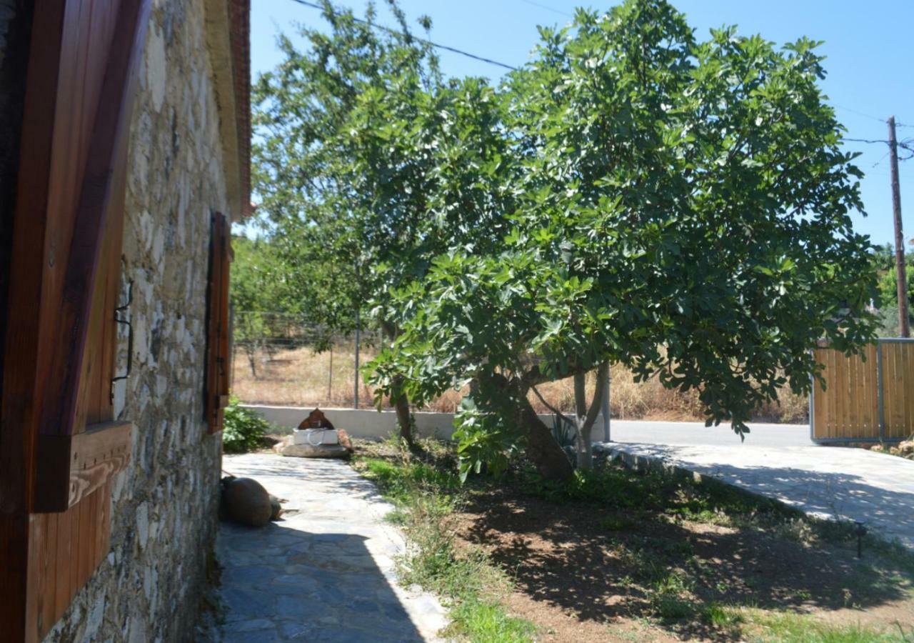 SANTA CRUZ country cottage Kallithea  Esterno foto